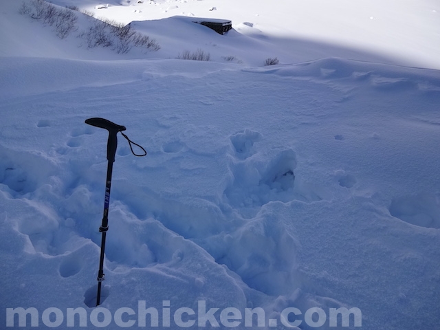 【ラックナー×テムレス】リーズナブルで高機能、コスパ最強だと感じてる冬山雪山手袋/オーバーグローブ考察　画像